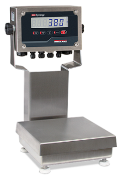 Rice Lake Ready-n-Weigh Bench Scale System